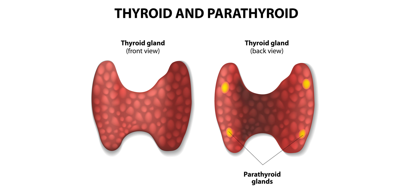 Thyroid Disorders